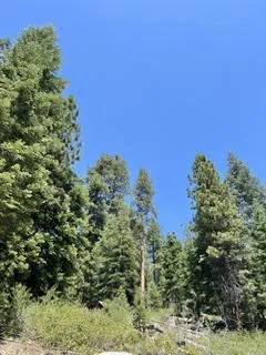 Hlk135-Cabin @ Heart Meadow Other, CA 93262