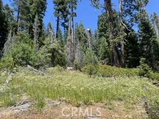 Hlk135-Cabin @ Heart Meadow Other, CA 93262