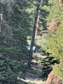 Hlk135-Cabin @ Heart Meadow Other, CA 93262