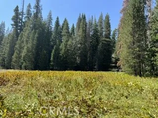 Hlk135-Cabin @ Heart Meadow Other, CA 93262