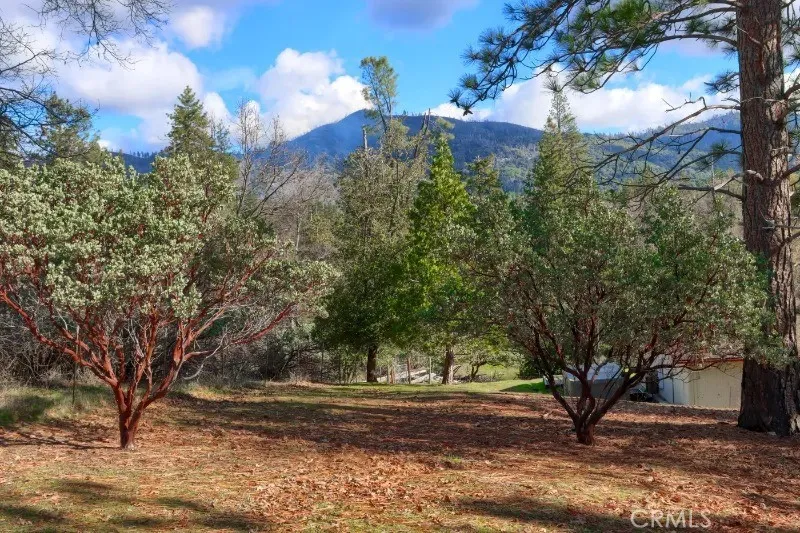 5909 Evergreen Mariposa, CA 95338