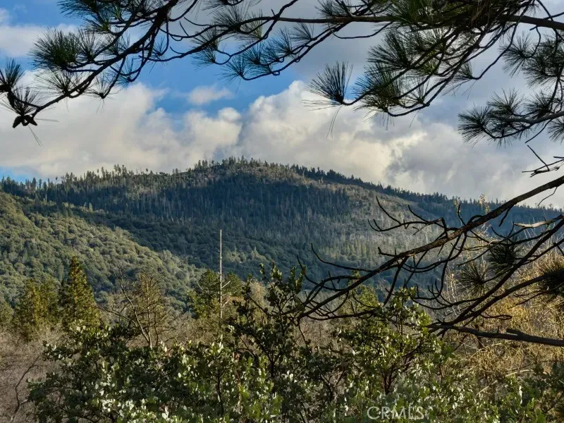 5909 Evergreen Mariposa, CA 95338