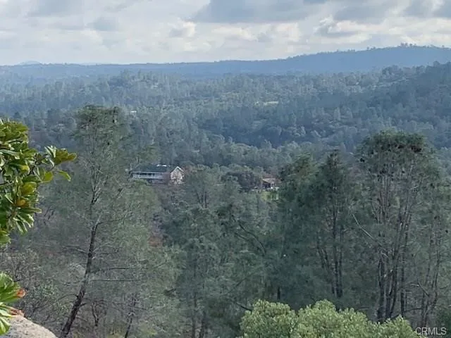 29010 Long Hollow Court Coarsegold, CA 93614