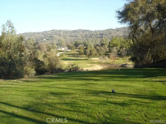 29010 Long Hollow Court Coarsegold, CA 93614