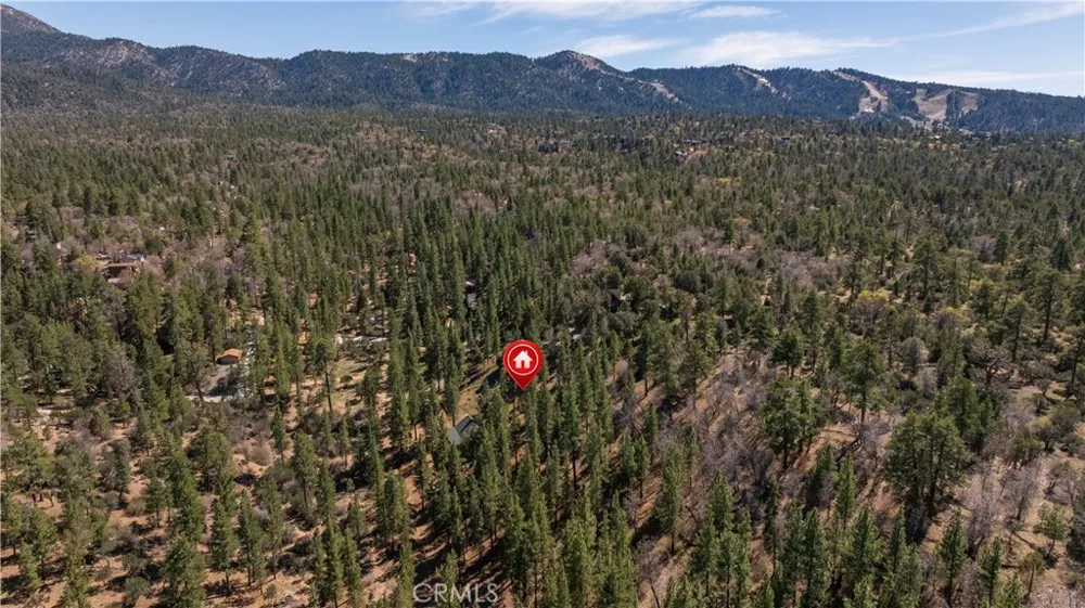 384 Saw Mill Canyon Big Bear City, CA 92314