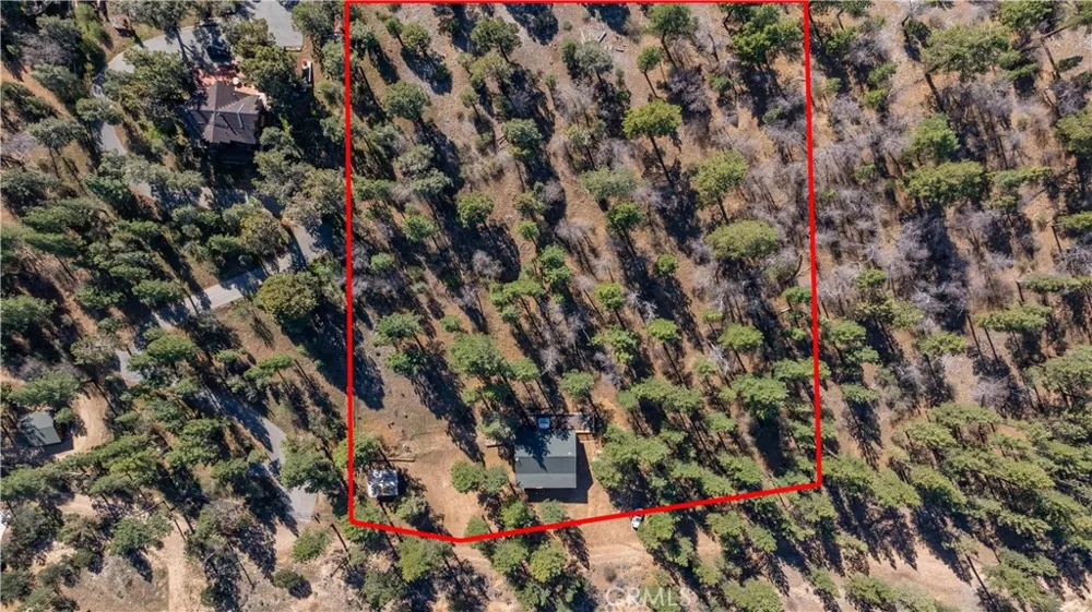 384 Saw Mill Canyon Big Bear City, CA 92314