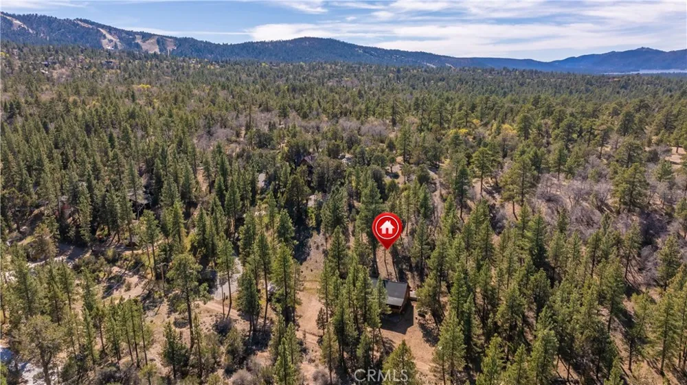 384 Saw Mill Canyon Big Bear City, CA 92314