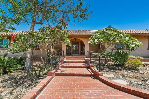 567 Avocado Place