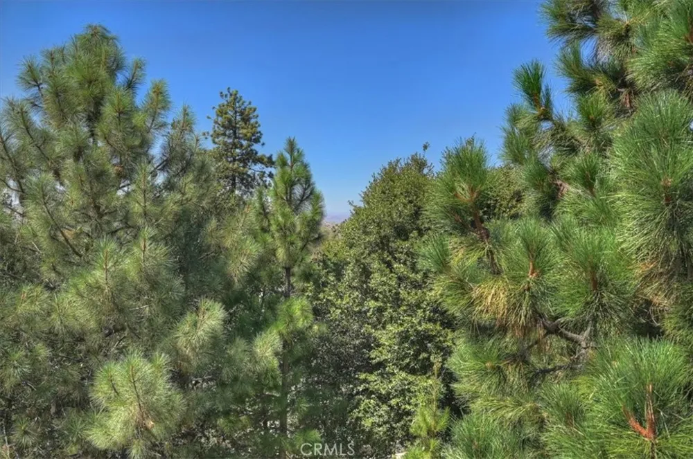 27398 Matterhorn Drive Lake Arrowhead, CA 92352