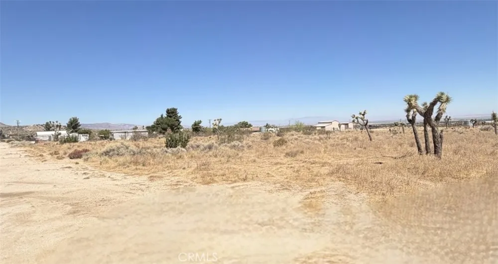 101 AVE W-4 Pearblossom, CA 93553