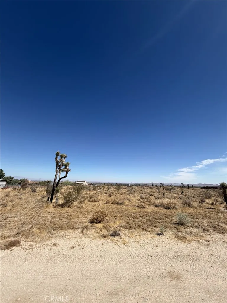 101 AVE W-4 Pearblossom, CA 93553