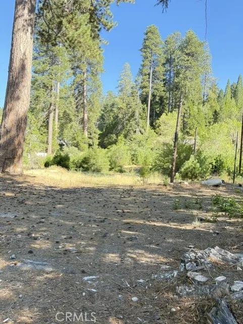 27263 State Highway 189 Blue Jay, CA 92317