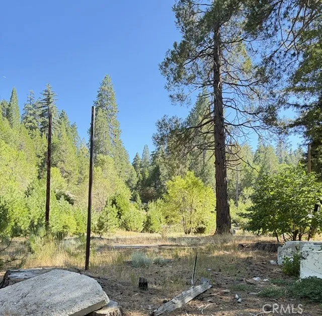27263 State Highway 189 Blue Jay, CA 92317