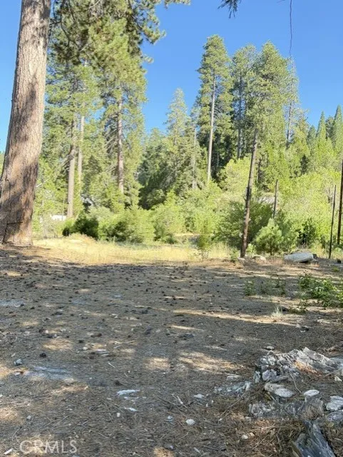 27263 State Highway 189 Blue Jay, CA 92317