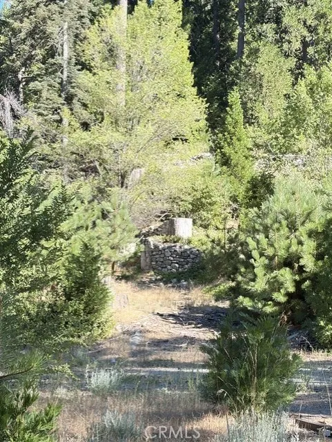 27263 State Highway 189 Blue Jay, CA 92317