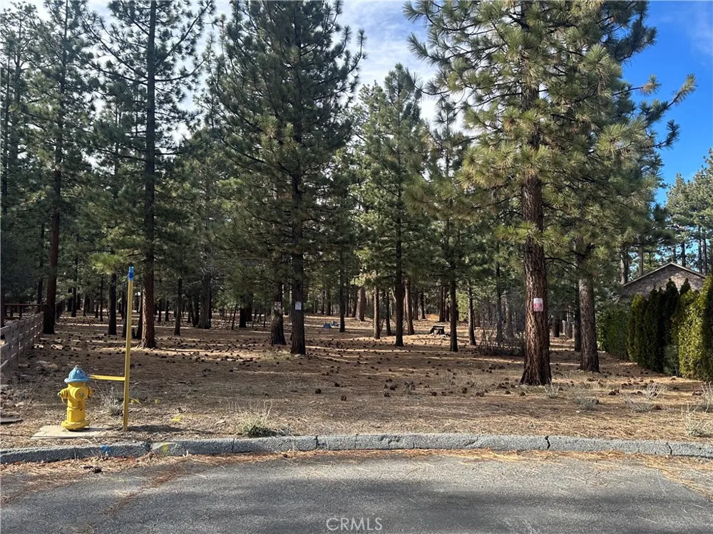 1801 Shady Big Bear City, CA 92314