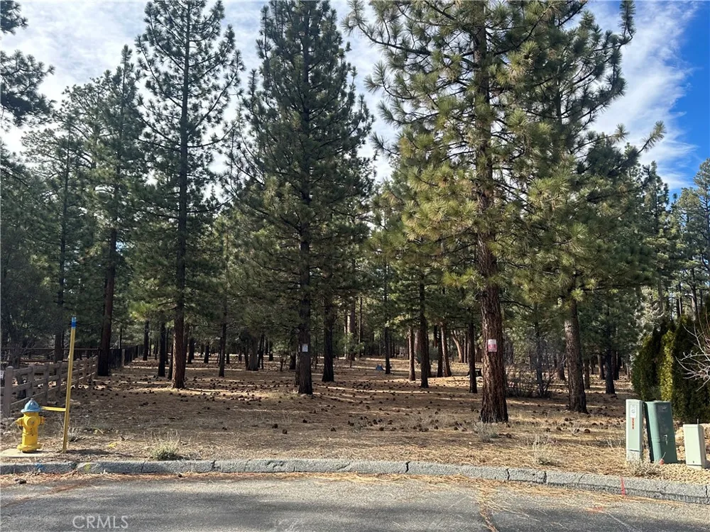 1801 Shady Big Bear City, CA 92314