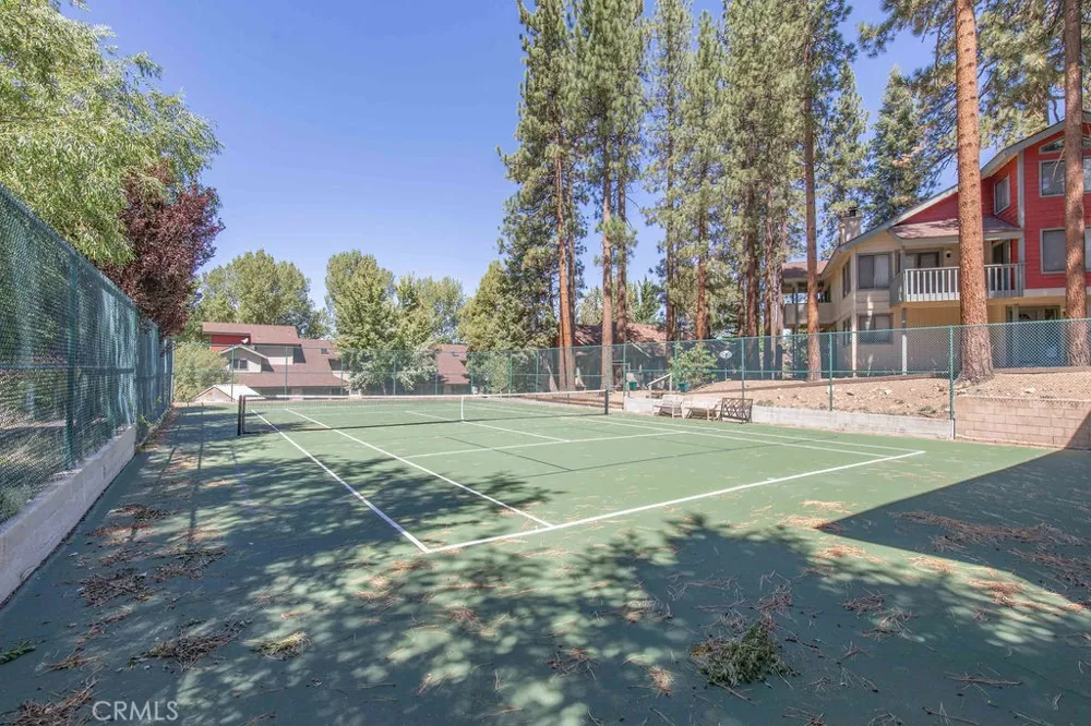 43091 Bear Creek Court Big Bear Lake, CA 92315