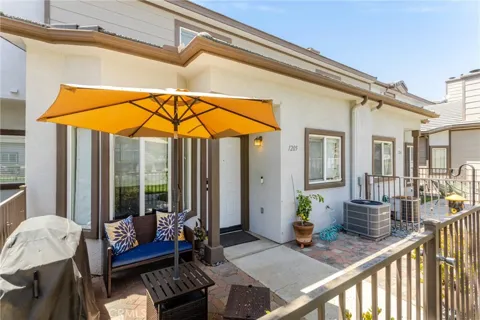1555 Orange #1205