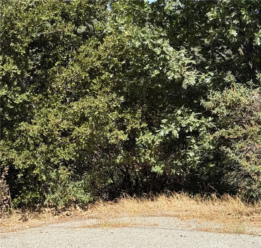 Brentwood Lake Arrowhead, CA 92352