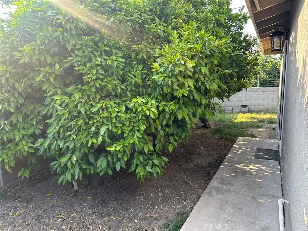 24450 University Avenue Loma Linda, CA 92354