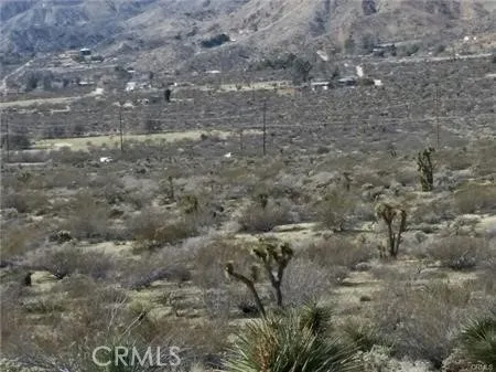 29 Palms Highway Morongo Valley, CA 92256