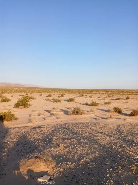 Jojoba Drive