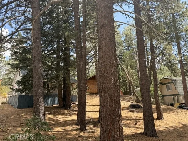 33390 Wild Rose Green Valley Lake, CA 92341