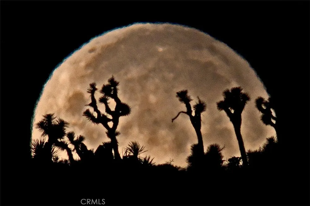 8421 Sunset Road Joshua Tree, CA 92252
