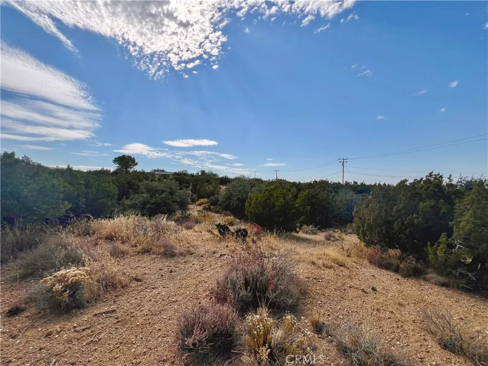 Four Winds Rd. Juniper Hills, CA 93543