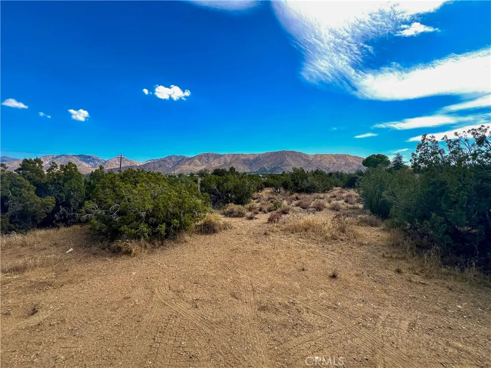 Four Winds Rd. Juniper Hills, CA 93543