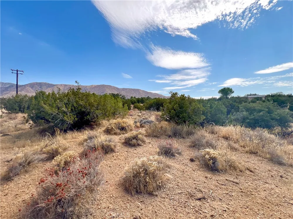 Four Winds Rd. Juniper Hills, CA 93543