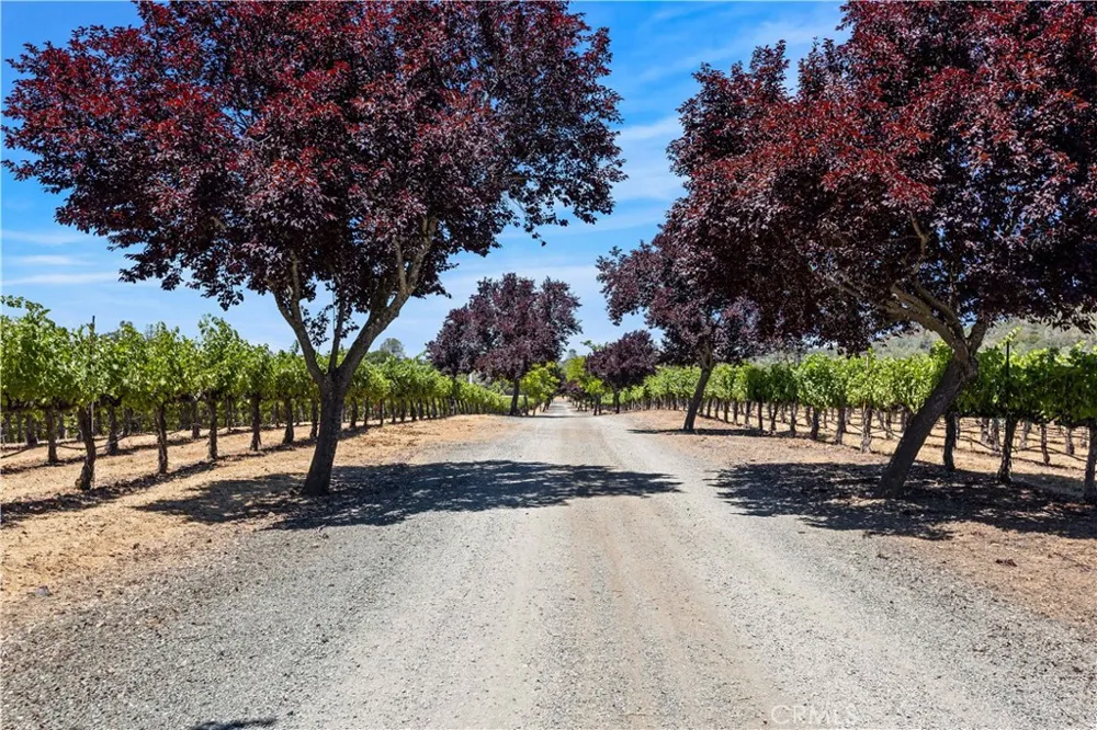 7555 Highway 29 Kelseyville, CA 95451