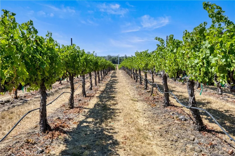 7555 Highway 29 Kelseyville, CA 95451
