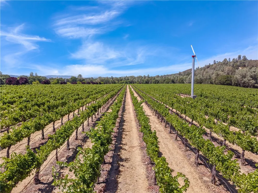 7555 Highway 29 Kelseyville, CA 95451