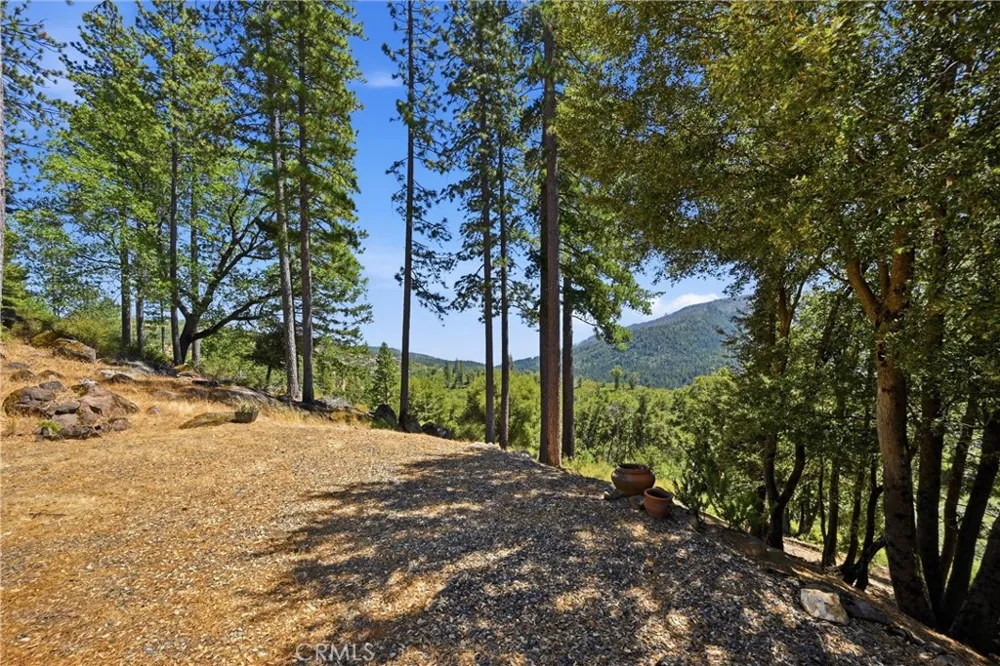 9081 Bleuss Court Cobb, CA 95426