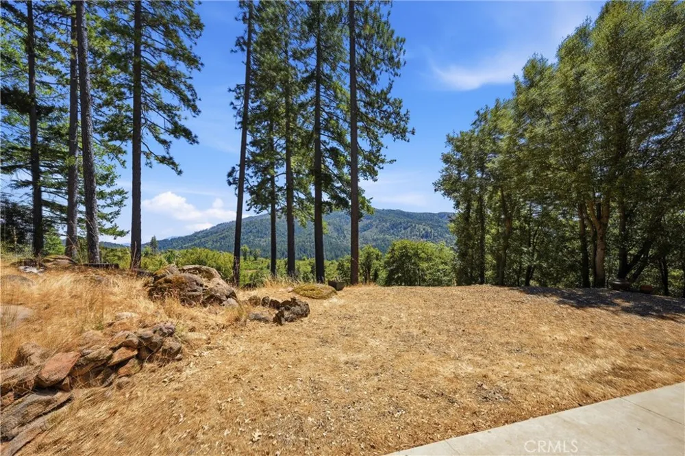 9081 Bleuss Court Cobb, CA 95426