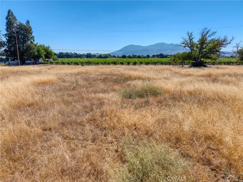 4635 Davis Drive Lakeport, CA 95453