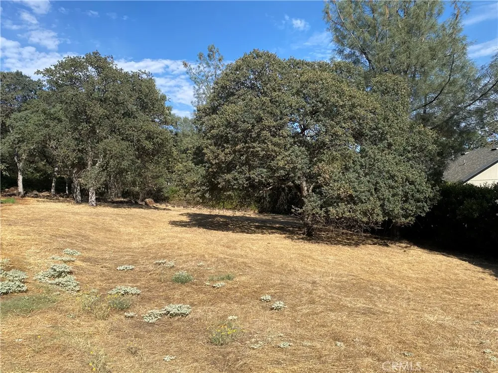 17214 Brookfield Road Hidden Valley Lake, CA 95467