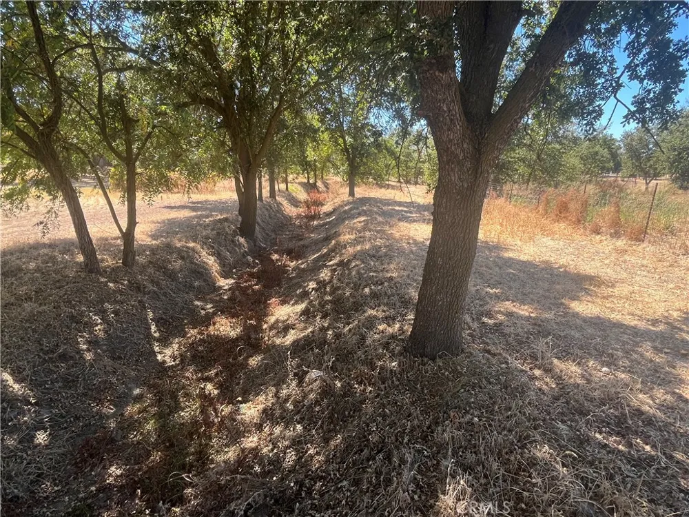 9835 Harvey Galt, CA 95632