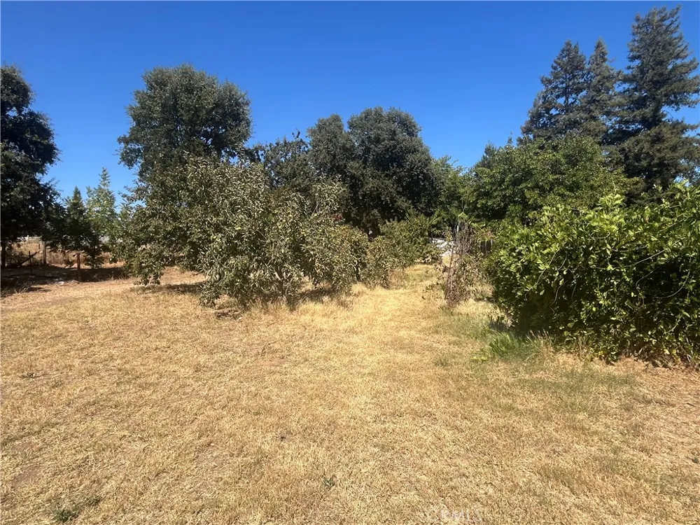 9835 Harvey Galt, CA 95632