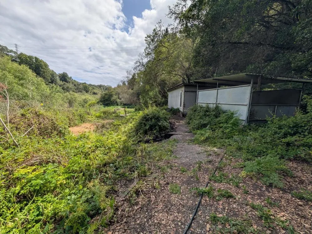4576 Paul Sweet Road Santa Cruz, CA 95065