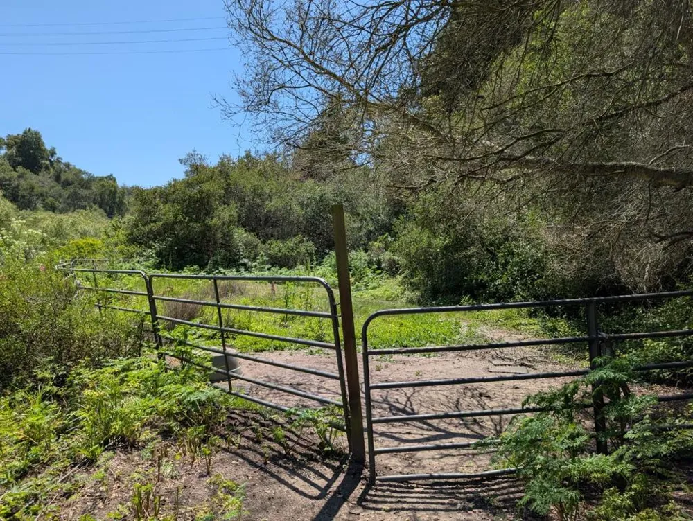 4576 Paul Sweet Road Santa Cruz, CA 95065