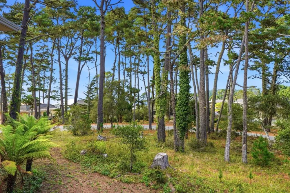 80 Ocean Pines Lane Pebble Beach, CA 93953