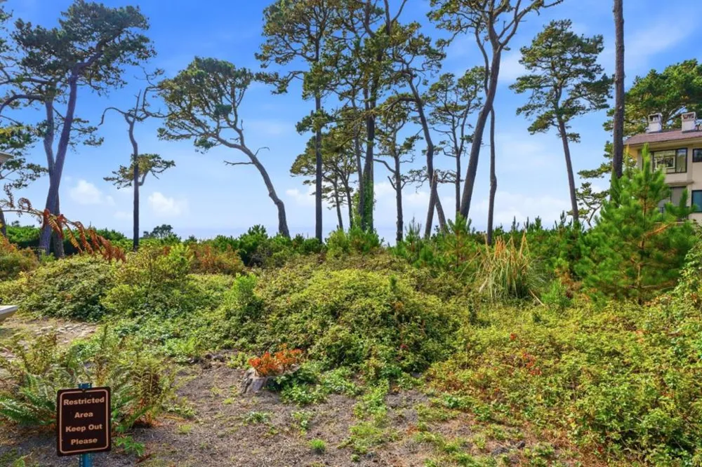 80 Ocean Pines Lane Pebble Beach, CA 93953