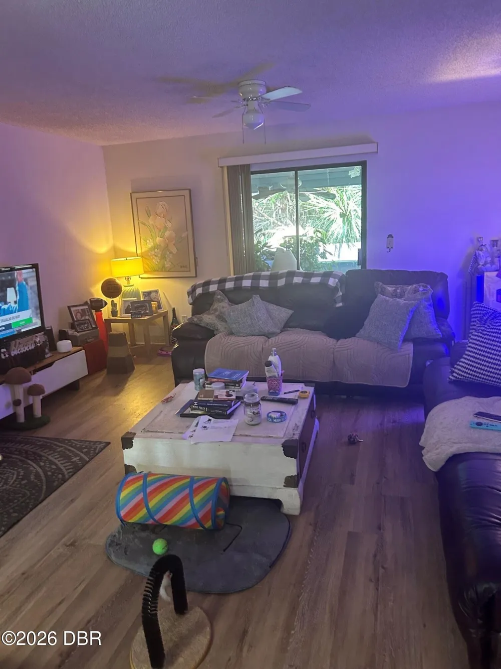 23 Village Drive Flagler Beach, FL 32136