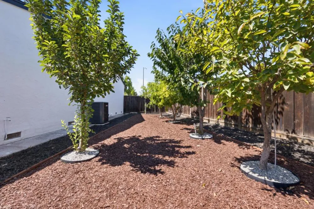 3198 Knights Bridge Road San Jose, CA 95132