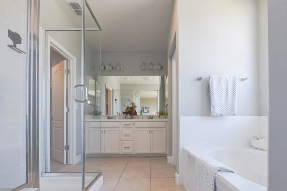 305 E Forsythia Way Mountain House, CA 95391