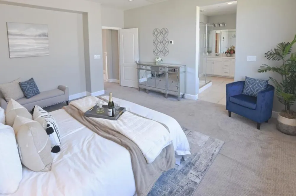 305 E Forsythia Way Mountain House, CA 95391