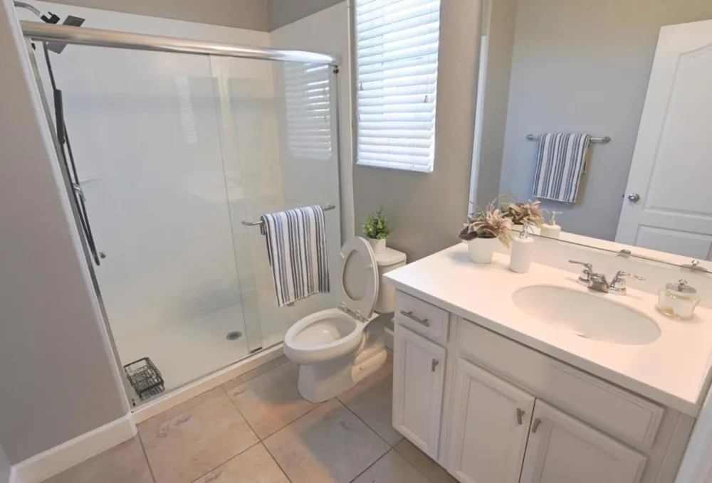 305 E Forsythia Way Mountain House, CA 95391